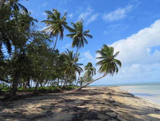 Karibik Strand